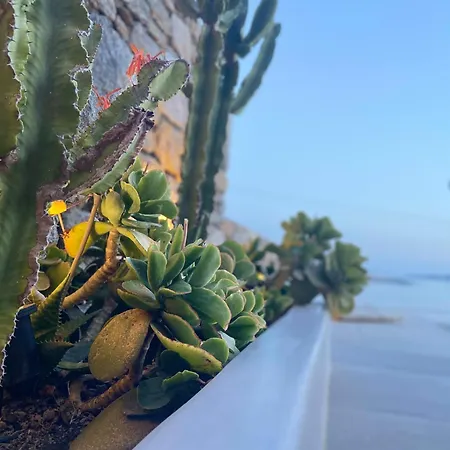 Mykonian Luxury Azure W Sea View And Pool